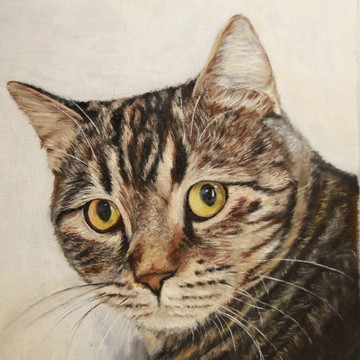 客製寫實寵物肖像油畫