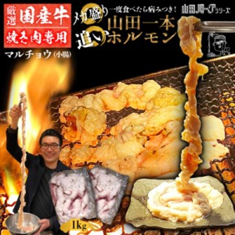 bbq 肉 セット 国産 牛 ホルモン 1kg (500g×2) まるごと カット無し