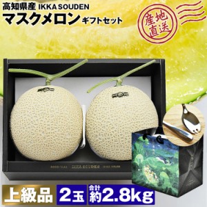 マスクメロン ギフト 高級 2玉 合計2.8kg (1.4kg×2玉)  上級品 産地直送 高知県産 贈答用 産直 常温便 同梱不可 指定日不可