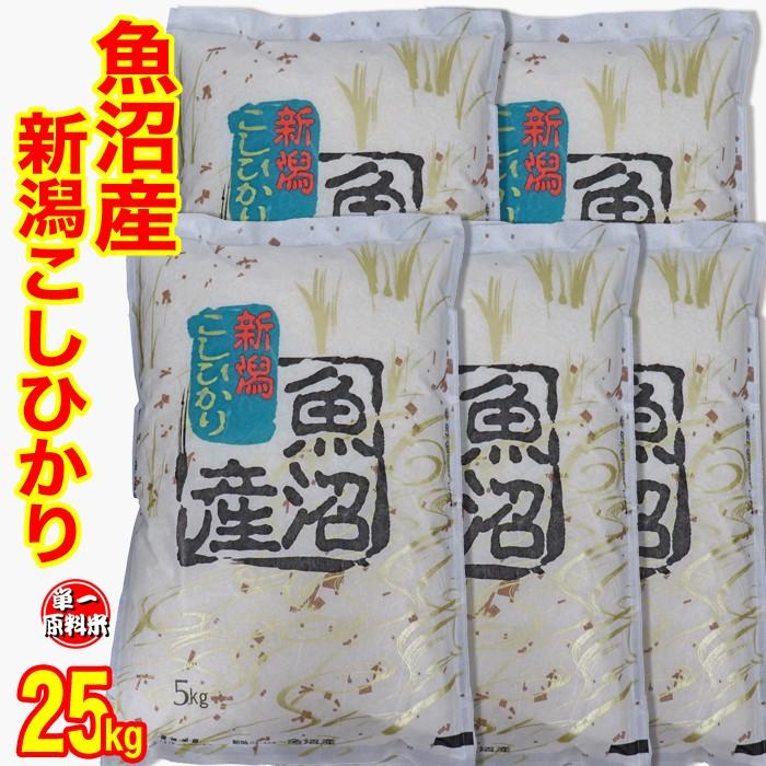 お米 米 魚沼産コシヒカリ 25kg(5kg×5) 令和5年度 送料無料 (産地直送米 一部地域は送料かかります 新潟 こしひかり 白米