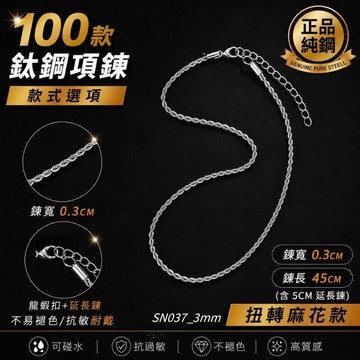 項鍊 麻花項鍊 短項鍊 單鍊 歐美 麻花 男飾品 辣妹 男生 銀色 鈦鋼 3mm 6mm 現貨 扭轉 線條 SN037