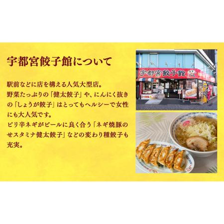 ふるさと納税 　餃子32個入り×2箱 栃木県宇都宮市