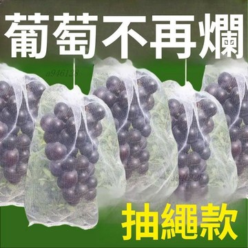 免運【可開票】🔥自帶抽繩葡萄水果套袋防蟲防鳥防雨水果無花果透氣瓜果防蟲專用袋