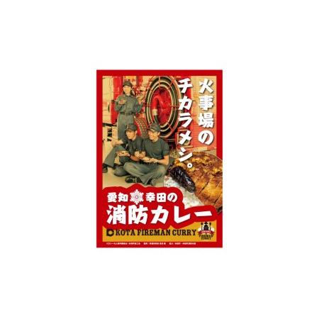 ふるさと納税 幸田消防カレー 200g×12個入り レトルトカレー カレー 小麦粉不使用 愛知県幸田町