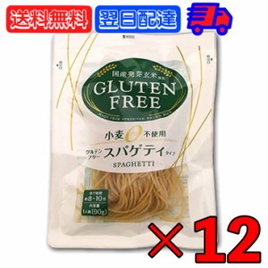 大潟村あきたこまち生産者協会 グルテンフリー スパゲティ 90g 12個 大潟村 おきたこまち グルテンフリー パスタ スパゲッティ グルテン