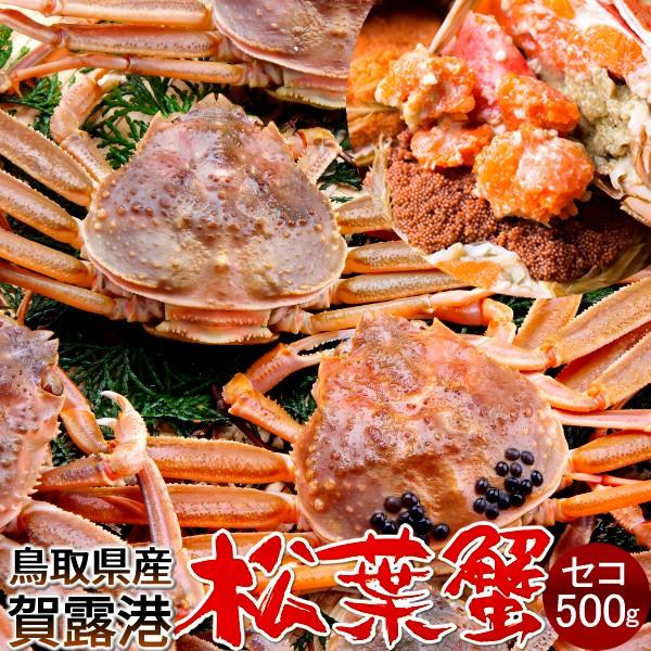 香箱がに せこ蟹 セイコガニ［大］500g 活がに 活き 子持ち 生 新物 メス 親蟹 せこがに せいこ蟹 香箱蟹 鳥取県産［お歳暮 2023 ギフト 御歳暮］