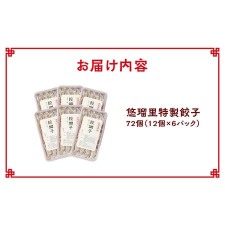 ふるさと納税 悠瑠里特製餃子72個 餃子 ぎょうざ 惣菜 宮崎県宮崎市