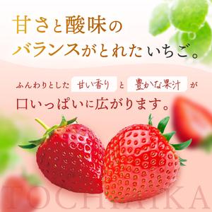 ふるさと納税 ご自宅用 スカイベリー (6~9粒×2パック×2) 真岡市 栃木県 送料無料 栃木県真岡市