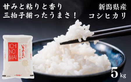 令和5年産新米！ 新潟県産コシヒカリ「いちのまい」5㎏ 米・食味鑑定士お墨付き 新米 精米したてを発送 こしひかり 糸魚川 白米