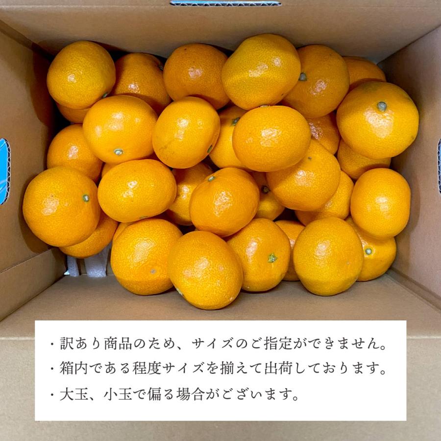 みかん 甘い ご家庭用 2kg 訳あり お試し 2S〜3Lサイズ 10個〜30個前後入り 愛媛 西宇和地区 八幡浜市産 010137000404