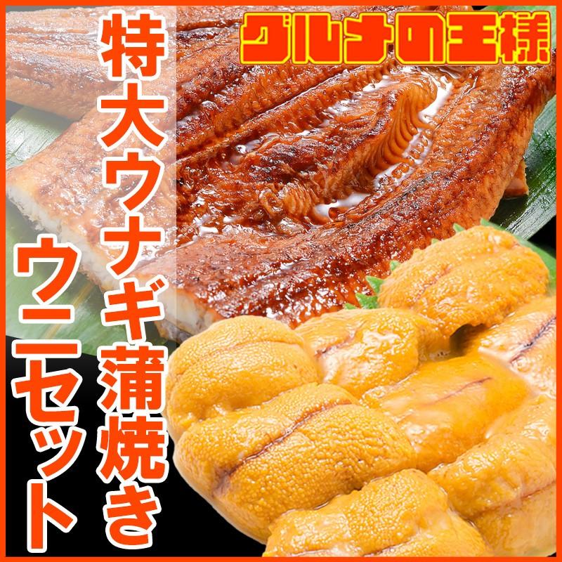 うにうなぎセット ＜松＞ 超特大国産うなぎ蒲焼き 平均250g前後×2尾 生ウニ 100g タレ付き 単品おせち 海鮮おせち