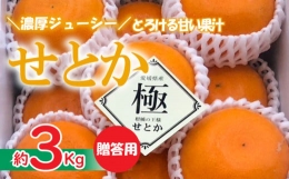 せとか 秀品 12個 約3Kg ＜2月下旬～発送予定＞ 柑橘 みかん 果物 くだもの フルーツ おすすめ 高級 人気 お取り寄せ グルメ ギフト 期間限定 数量限定 ご当地 愛媛県 松山市 ふるさとチョイス ふるさと納税 ランキング キャンペーン やり方 限度額 仕組み シミュレーション