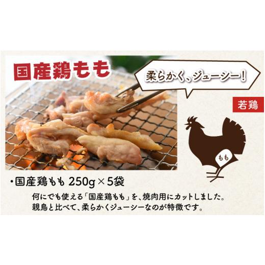 ふるさと納税 福井県 坂井市 国産鶏もも（焼肉用）250g × 5袋・国産親鶏もも味付け（焼肉用）250g × 5袋 詰め合わせ 計2.5kg  [A-12403]