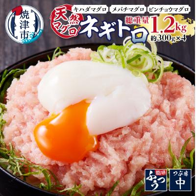 ふるさと納税 焼津市 天然まぐろ ネギトロ 約1.2kg(a10-912)