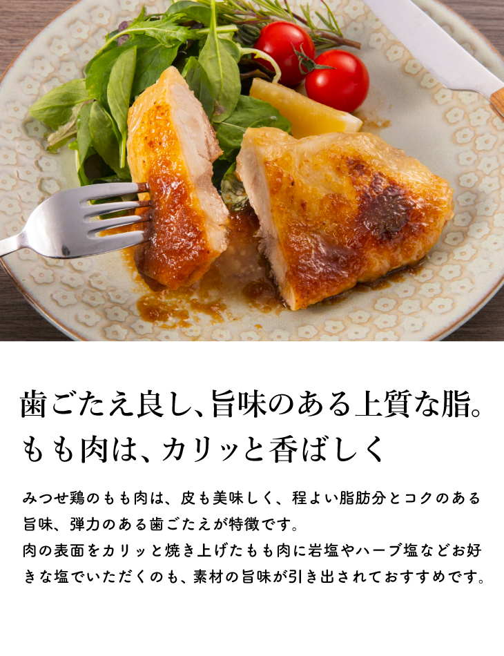 九州 お取り寄せ 熟成むね肉 もも肉 ブランド鶏 大容量 かんたん調理 贈答 ギフト みつせ鶏本舗 冷凍