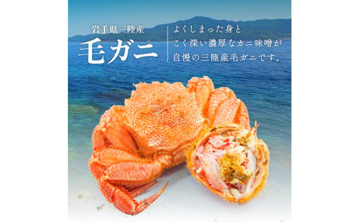 生きたまま発送 三陸産！活 毛ガニセット (300g×2尾)　三陸直送 濃厚 かに 蟹 カニ 毛ガニ 毛蟹 毛がに