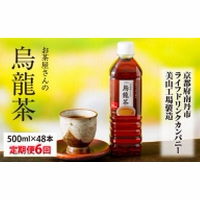 060D16　【６ヵ月定期便】お茶屋さんの烏龍茶　500mlペットボトル×48本