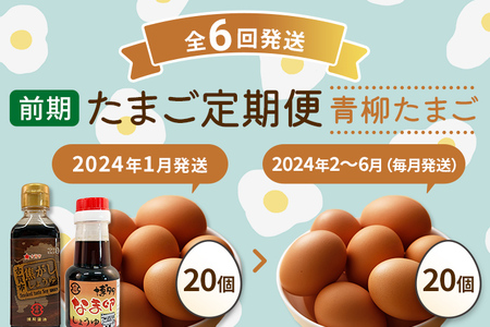 たまご前期定期便 6回発送（初回のみ醤油付き・たまご20個）20個×6回 合計120個 定期便 6ヶ月 卵 おうはん卵 青柳たまご 送料無料 