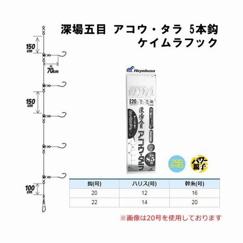 ハヤブサ 深場五目 アコウ タラ 5本鈎 ケイムラフック Sd840 船釣り仕掛け 通販 Lineポイント最大0 5 Get Lineショッピング