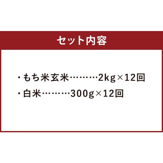 ふるさと納税 熊本県 菊池市   熊本県 菊池産 もち米 玄米 2kg 白米300g 計27.6kg ヒヨクモチ