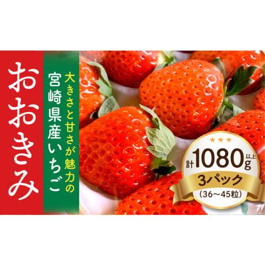 ふるさと納税 宮崎県 宮崎市 宮崎県産イチゴ「おおきみ」3パック1080g以上：36粒〜45粒）_M260-011