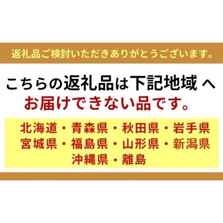 ふるさと納税  瀬戸内 牛窓産 いちご 紅ほっぺ 約3kg（約270g×12パック） 岡山県瀬戸内市