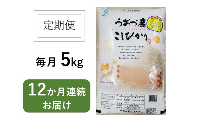 定期便 米 5kg 12ヶ月 コシヒカリ 富山 魚津産 こめ コメ お米 おこめ 白米 精米 12回 お楽しみ