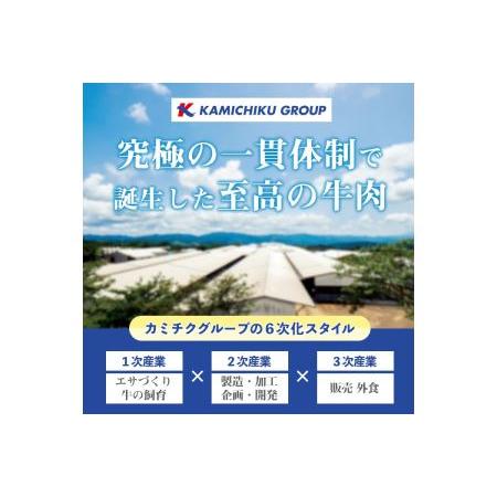 ふるさと納税 No.831 ＜数量限定＞鹿児島県産黒毛和牛焼肉セット(合計400g・ハラミ焼肉200g×1P、サガリ焼肉200g×1P) 鹿児島県日置市