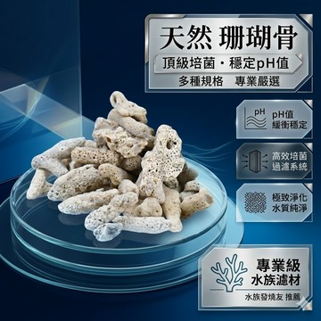 陸龜驛站｜珊瑚骨 珊瑚石 珊瑚砂 純天然鹼性 調節穩定PH 天然魚缸底砂用 過濾用 造景底沙 底材