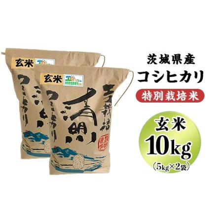 ふるさと納税 20-21茨城県産コシヒカリ特別栽培米10kg（5kg×2袋）玄米 茨城県阿見町