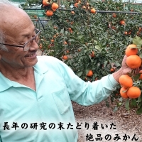 「予約受付」吉田みかん園の樹上完熟みかん 10kg 柑橘 ミカン 蜜柑 フルーツ 果物