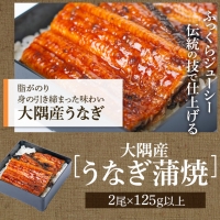 ふるさと2選A（うなぎ 約125g×2尾、焼豚 約200ｇ×5個）