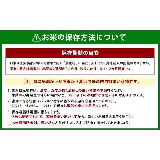 ふるさと納税 新潟県 村上市 新潟県岩船産  6kg（2kg×3袋） パックごはん(150g×1個)×9…