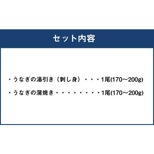 ふるさと納税 福岡県 柳川市 うなぎの2種 食べ比べセット