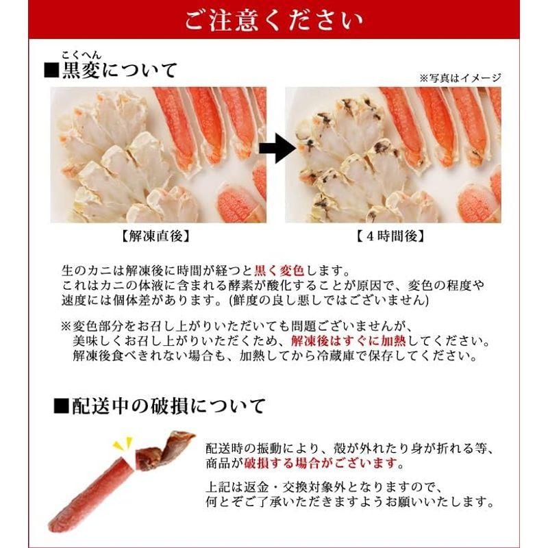 生ズワイ蟹ポーション 400g(総重量500g) 20本入 カニ かに ズワイガニ ずわいがに しゃぶしゃぶ お刺身 かに刺し 刺身 生食可