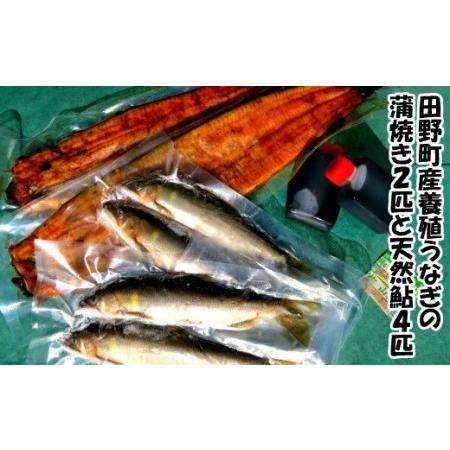 ふるさと納税 田野町産うなぎの蒲焼き2匹と天然鮎4匹セット 高知県田野町