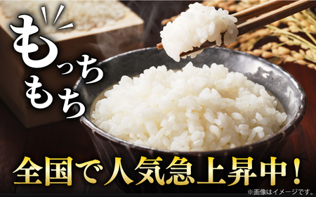 令和5年産 さがびより 白米 計60kg（5kg×2袋×6回） 佐賀県 株式会社森光商店[41ACBW033]