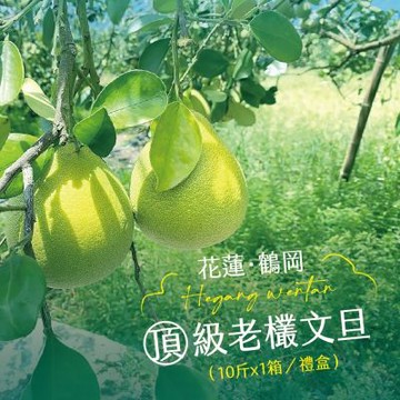 【杰市優果】花蓮鶴岡精選頂級50年老欉文旦10斤禮盒x1箱(10-15粒/箱)