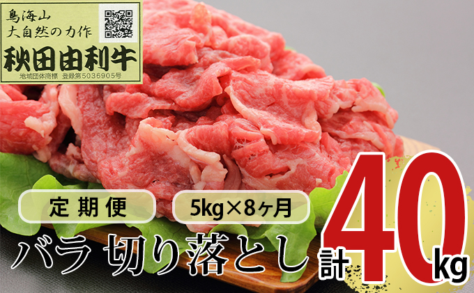 《定期便》8ヶ月連続 秋田由利牛 バラ切り落とし 5kg（1kg×5パック）