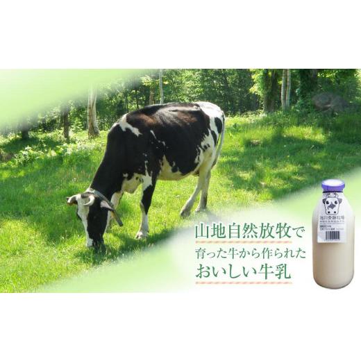 ふるさと納税 北海道 旭川市 斉藤牧場の山地自然放牧牛乳（900ml×2本）