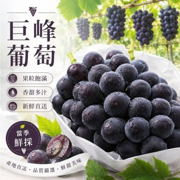 愛蜜果 巨峰葡萄禮盒(約3斤/盒)