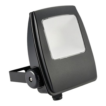 EVERLIGHT 億光 星宇投光燈 塑膠殼 30W  白光  1件