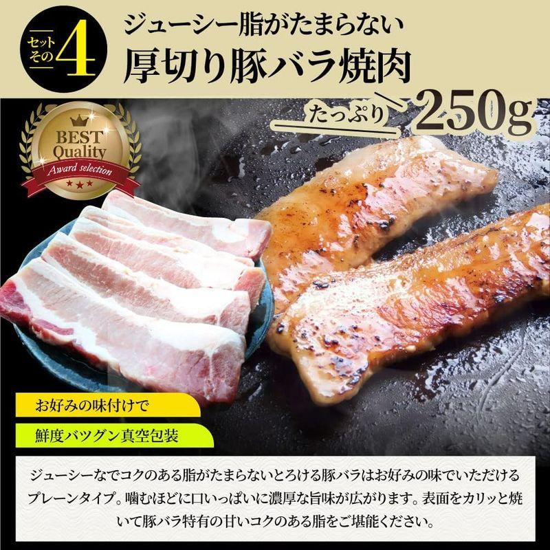 5種の焼肉達人セット