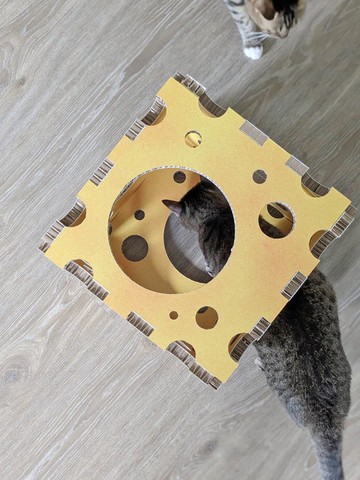 Cheezzz House/起士貓窩/100%紙/台灣製