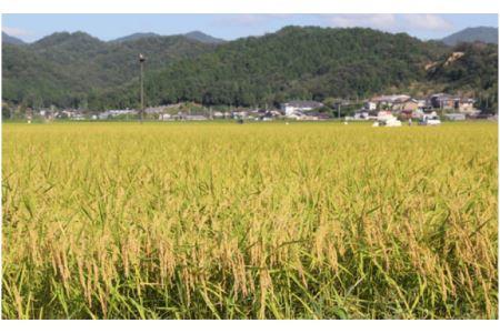 コウノトリ育むお米減農薬（94-003）