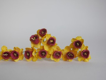 紙花 50 朵，尺寸 2.5 公分。DIY 材料，水仙紙，黃紅色調。