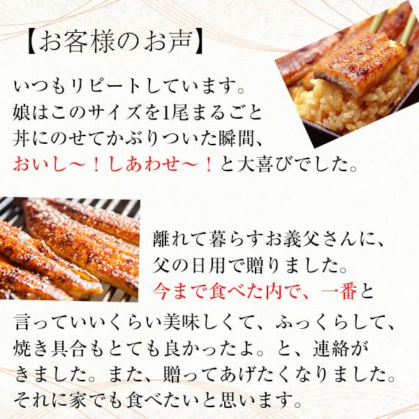 ＼まとめ買いにおすすめ／10尾セット 国産 うなぎ 蒲焼き 120g 鰻 ギフト 蒲焼 うなぎ蒲焼 送料無料