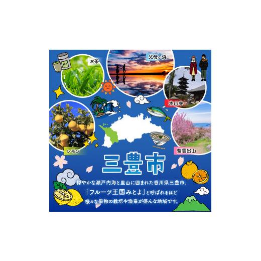 ふるさと納税 香川県 三豊市 M02-0139-R_フルーツ王国みとよの特選こだわり6品（偶数月）