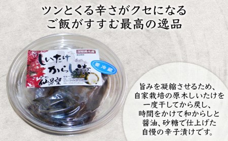 打ちたて直送 1300年のこだわり 自家栽培 極上 石臼引き 手打ち 本格 二八生そば 汁付2人前×2セット・しいたけの辛子漬け200g×1個 蕎麦粉 年越しそば そば打ち 手打ちそば 二八生蕎麦 大分県産 九州産 中津市 国産