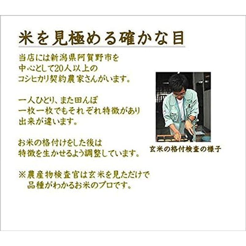 新潟県産 コシヒカリ 令和3年産 精米 ５ｋｇ×２袋 （１０ｋｇ）